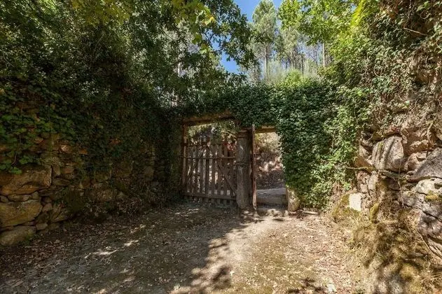 Ev, 1 Yatak Odası, Balkon
