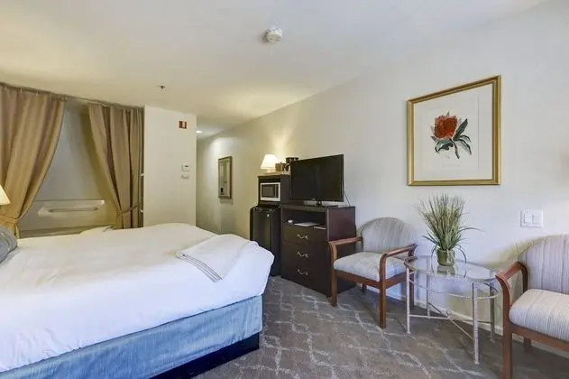 Deluxe Oda, 1 En Büyük (King) Boy Yatak