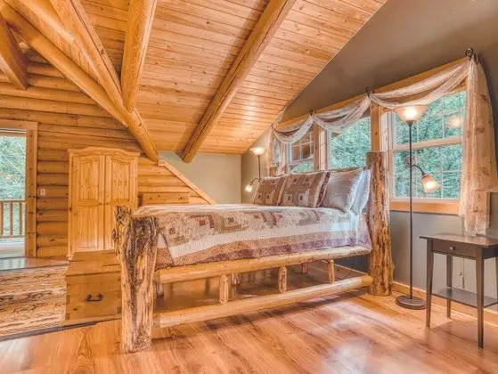 Kulübe, Birden Çok Yatak (Forest View Lodge)