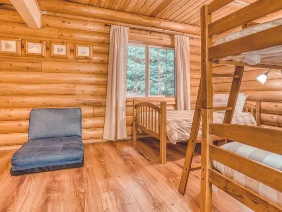 Kulübe, Birden Çok Yatak (Forest View Lodge)