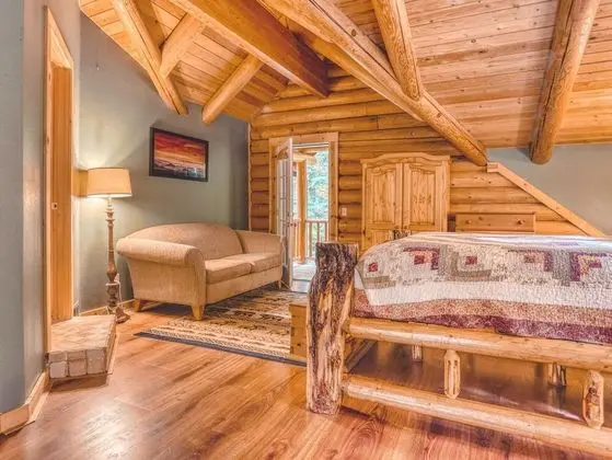 Kulübe, Birden Çok Yatak (Forest View Lodge)
