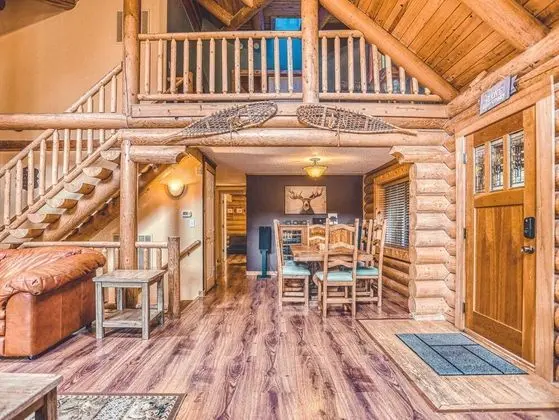 Kulübe, Birden Çok Yatak (Forest View Lodge)