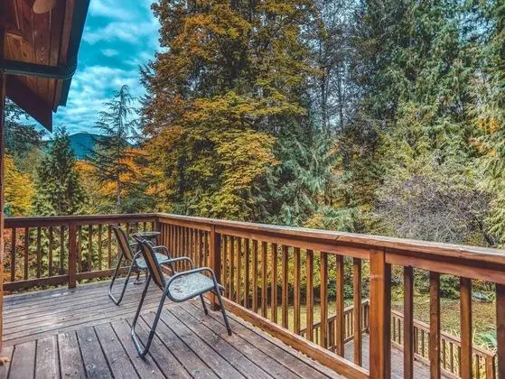 Kulübe, Birden Çok Yatak (Forest View Lodge)