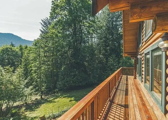 Kulübe, Birden Çok Yatak (Forest View Lodge)