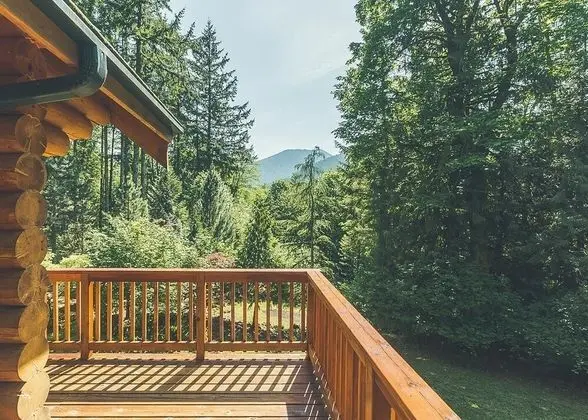 Kulübe, Birden Çok Yatak (Forest View Lodge)