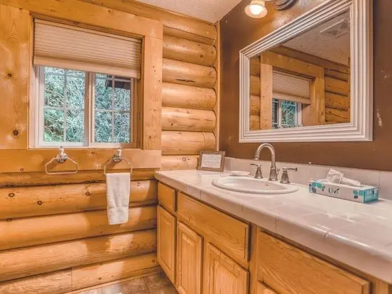 Kulübe, Birden Çok Yatak (Forest View Lodge)