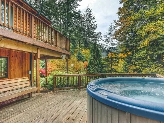Kulübe, Birden Çok Yatak (Forest View Lodge)