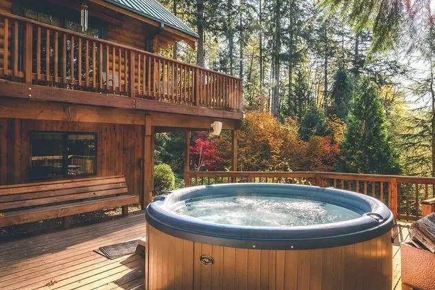 Kulübe, Birden Çok Yatak (Forest View Lodge)