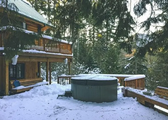 Kulübe, Birden Çok Yatak (Forest View Lodge)