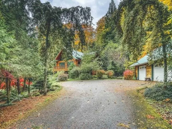 Kulübe, Birden Çok Yatak (Forest View Lodge)