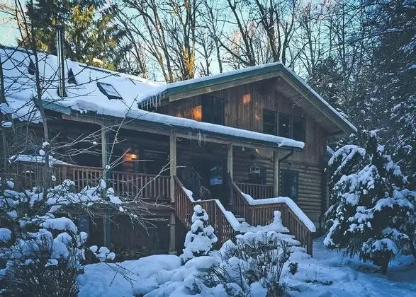 Kulübe, Birden Çok Yatak (Forest View Lodge)