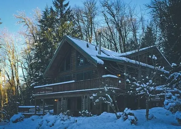 Kulübe, Birden Çok Yatak (Forest View Lodge)