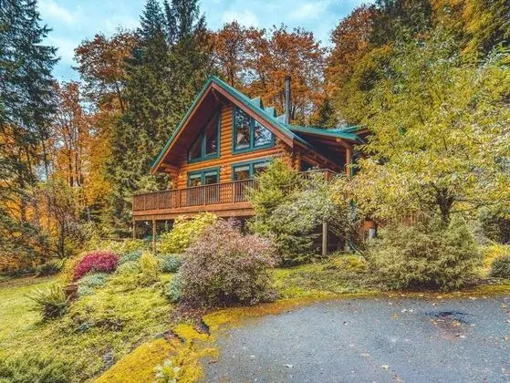 Kulübe, Birden Çok Yatak (Forest View Lodge)