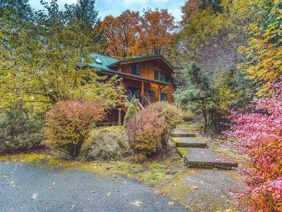 Kulübe, Birden Çok Yatak (Forest View Lodge)
