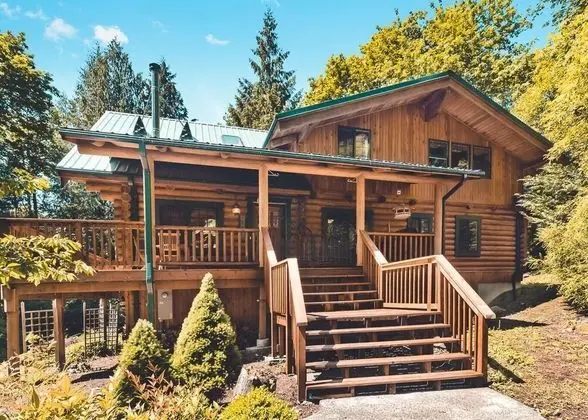 Kulübe, Birden Çok Yatak (Forest View Lodge)