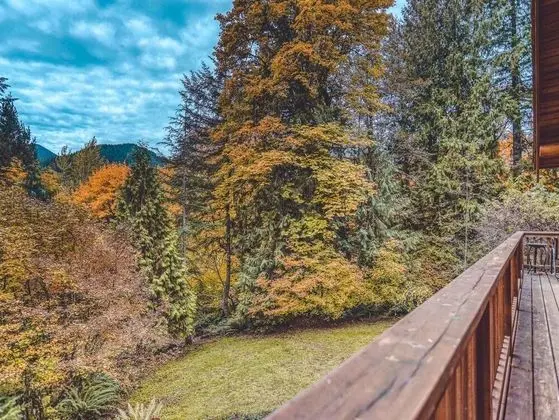 Kulübe, Birden Çok Yatak (Forest View Lodge)