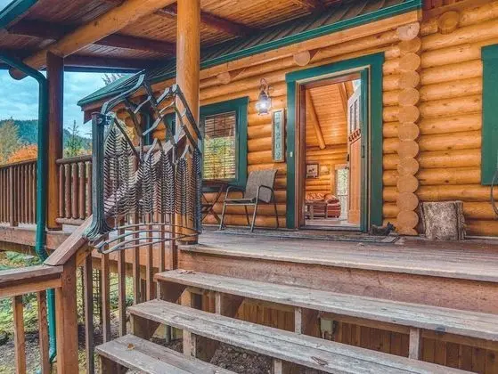 Kulübe, Birden Çok Yatak (Forest View Lodge)