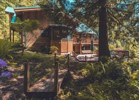 Kulübe, Birden Çok Yatak (Forest View Lodge)
