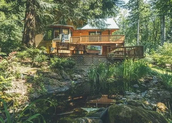 Kulübe, Birden Çok Yatak (Forest View Lodge)