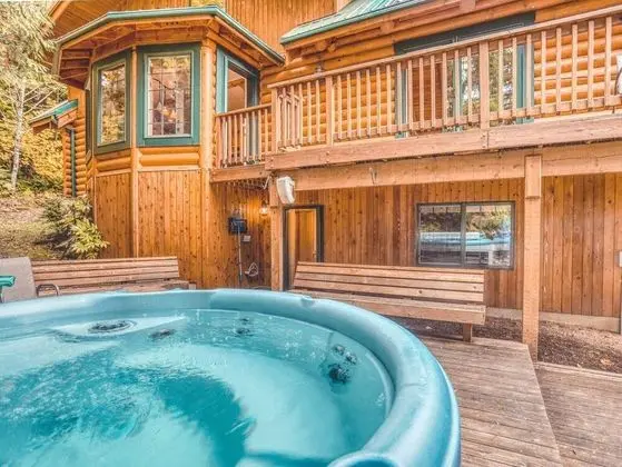 Kulübe, Birden Çok Yatak (Forest View Lodge)