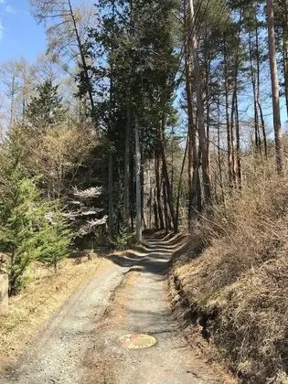 Ev (Private Vacation Home)