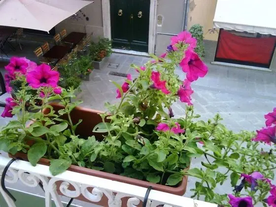 Classic Üç Kişilik Oda