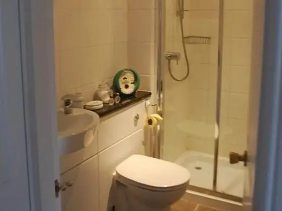 Superior Tek Büyük Yataklı Oda, Banyolu/Duşlu