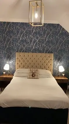 Tek Büyük Yataklı Oda, Banyolu/Duşlu