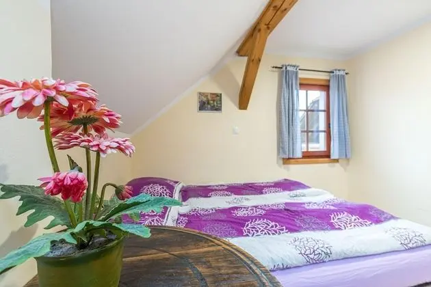 Family Ev, Birden Çok Yatak, Bahçeli (Forge Of Happiness)