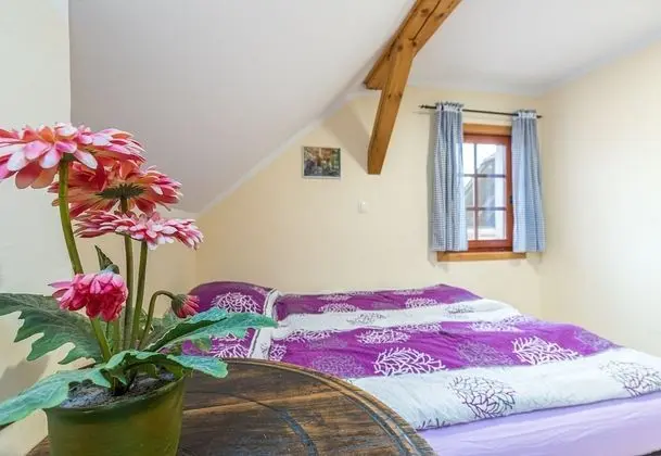 Family Ev, Birden Çok Yatak, Bahçeli (Forge Of Happiness)