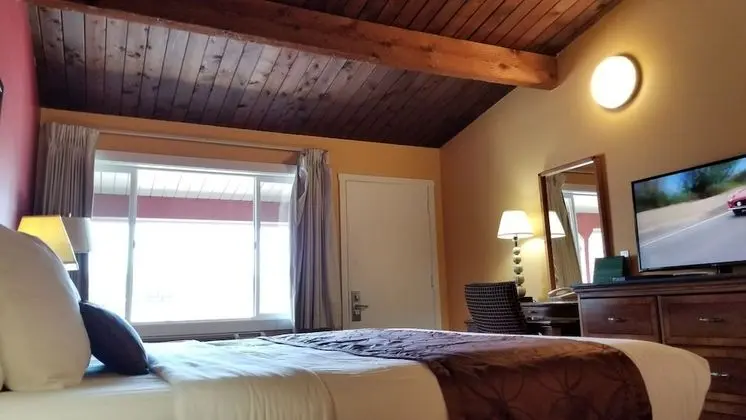 Standard Oda, 1 En Büyük (King) Boy Yatak, Buzdolabı ve Mikrodalga
