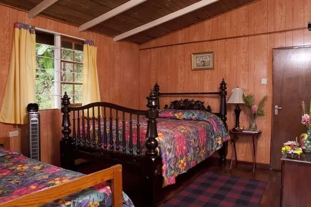 Standard Oda, Balkon, Dağ Manzaralı