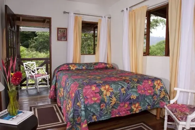Standard Oda, Balkon, Dağ Manzaralı