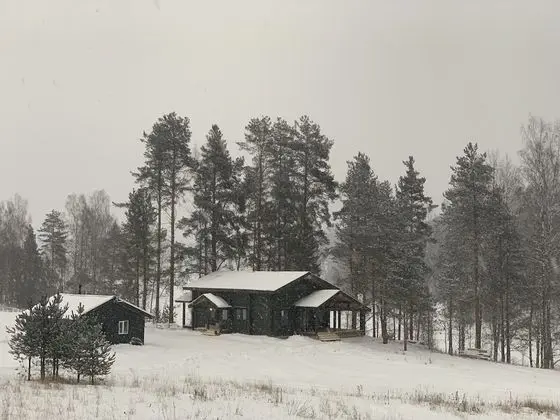 Panoramic Dağ Evi, 3 Yatak Odası, Mikrodalga, Göl Manzaralı