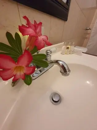 San Sebastian Suite