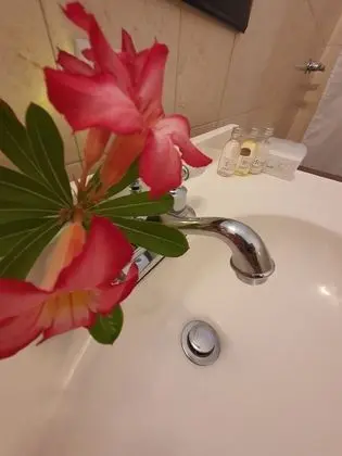 San Sebastian Suite