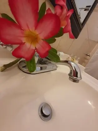San Sebastian Suite