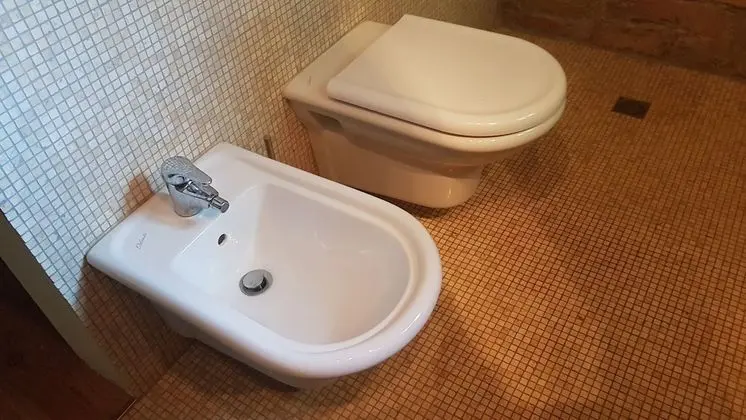 Oda, 1 Yatak Odası, Sauna