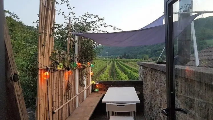 Oda, 1 Yatak Odası, Sauna