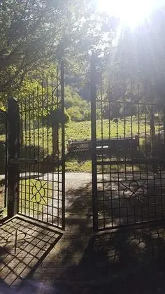 Oda, 1 Yatak Odası, Sauna