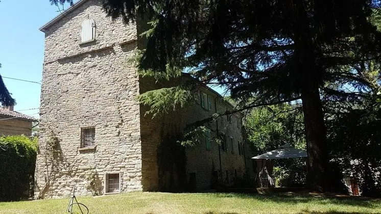 Oda, 1 Yatak Odası, Sauna