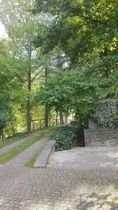 Oda, 1 Yatak Odası, Sauna