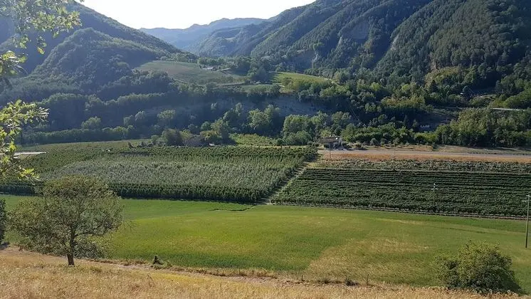 Oda, 1 Yatak Odası, Sauna