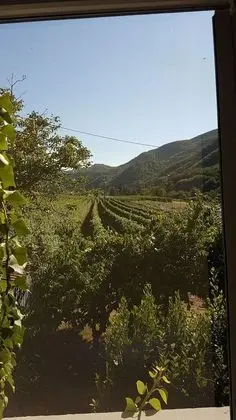 Oda, 1 Yatak Odası, Sauna