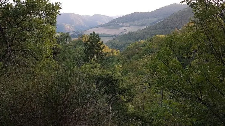 Oda, 1 Yatak Odası, Sauna