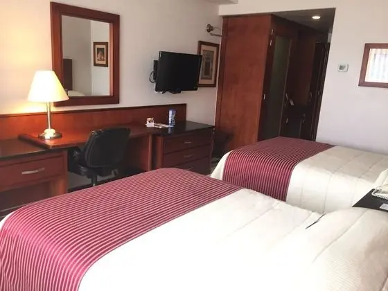 Executive Tek Büyük Yataklı Oda
