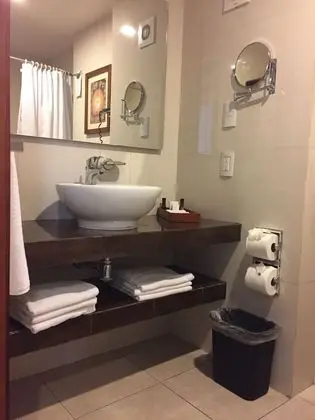 Executive Tek Büyük Yataklı Oda