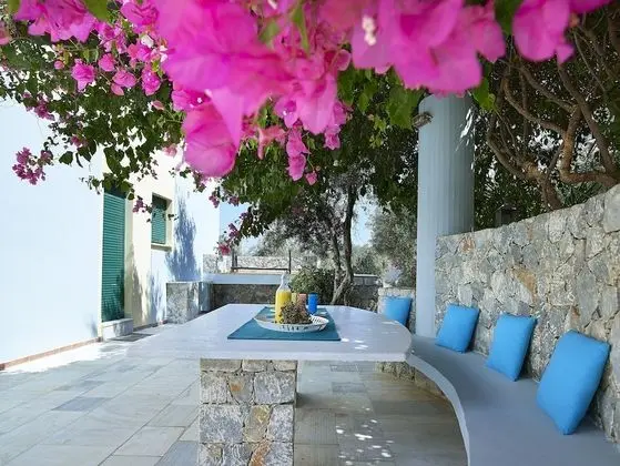 Superior Villa