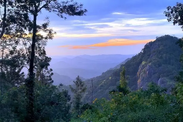 Deluxe Tek Büyük Yataklı Oda, Sigara İçilmez, Dağ Manzaralı