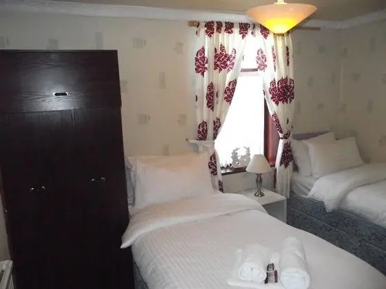 İki Ayrı Yataklı Oda, Banyolu/Duşlu (Room)